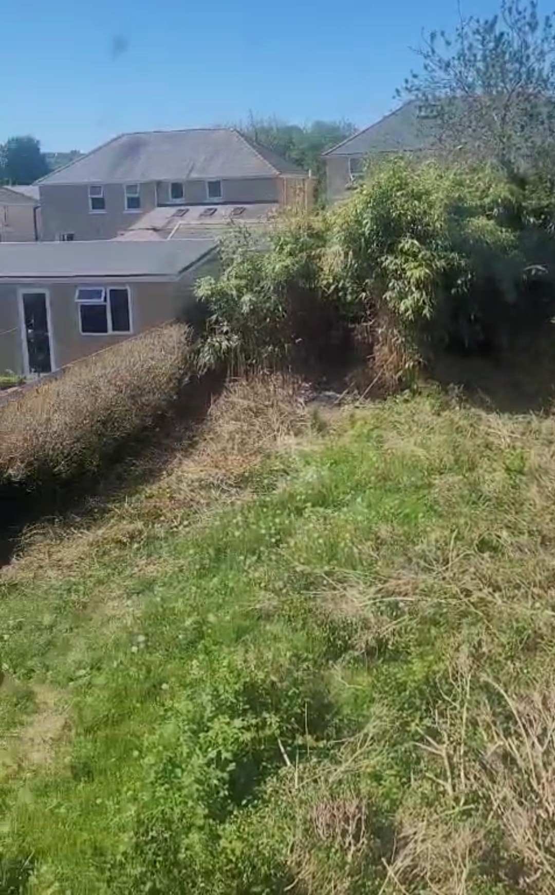 Back garden before renovation